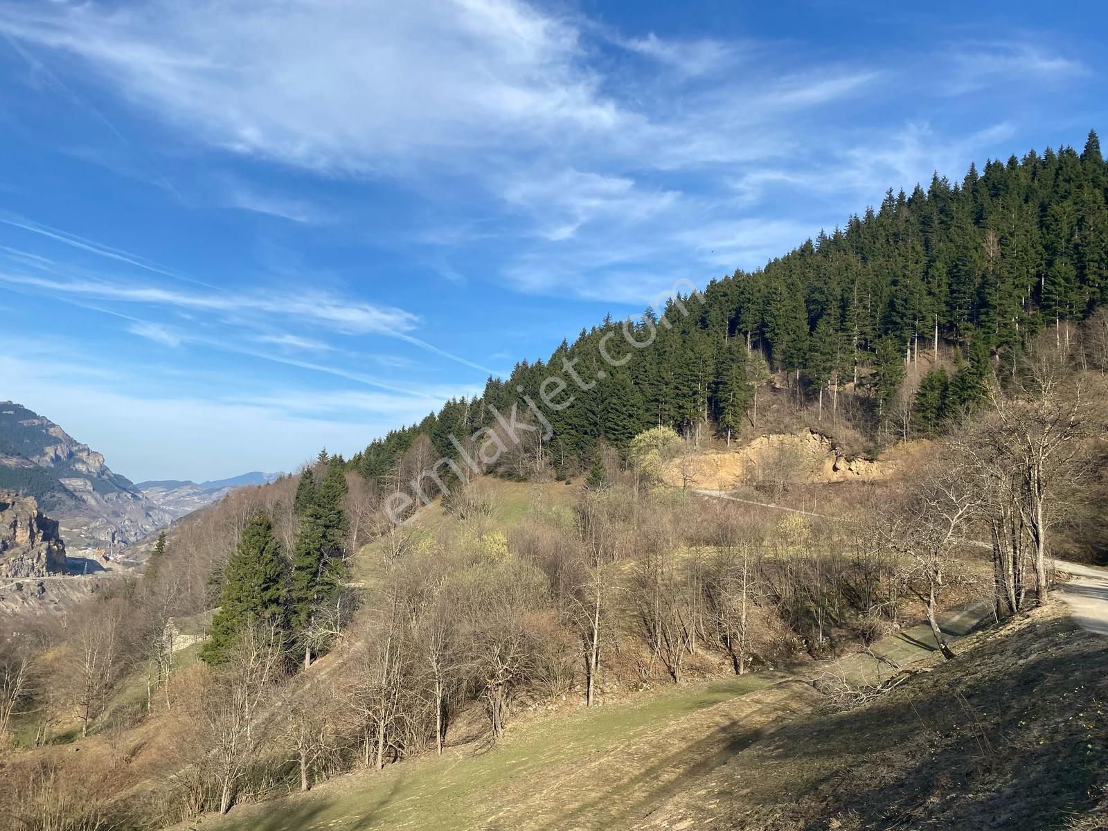 Hamsiköy Vadisinde Satılık Fırsat 5219 M2 Arsa
