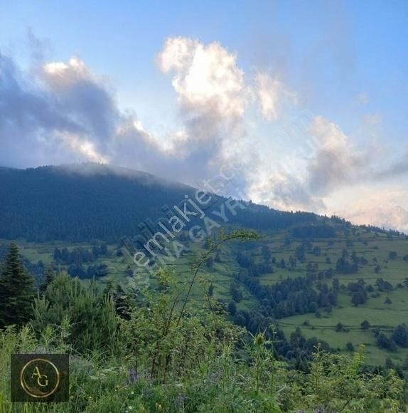 Ahşena Gayrimenkul'den Samsun Bafra'da Yola Cephe Satılık Arazi