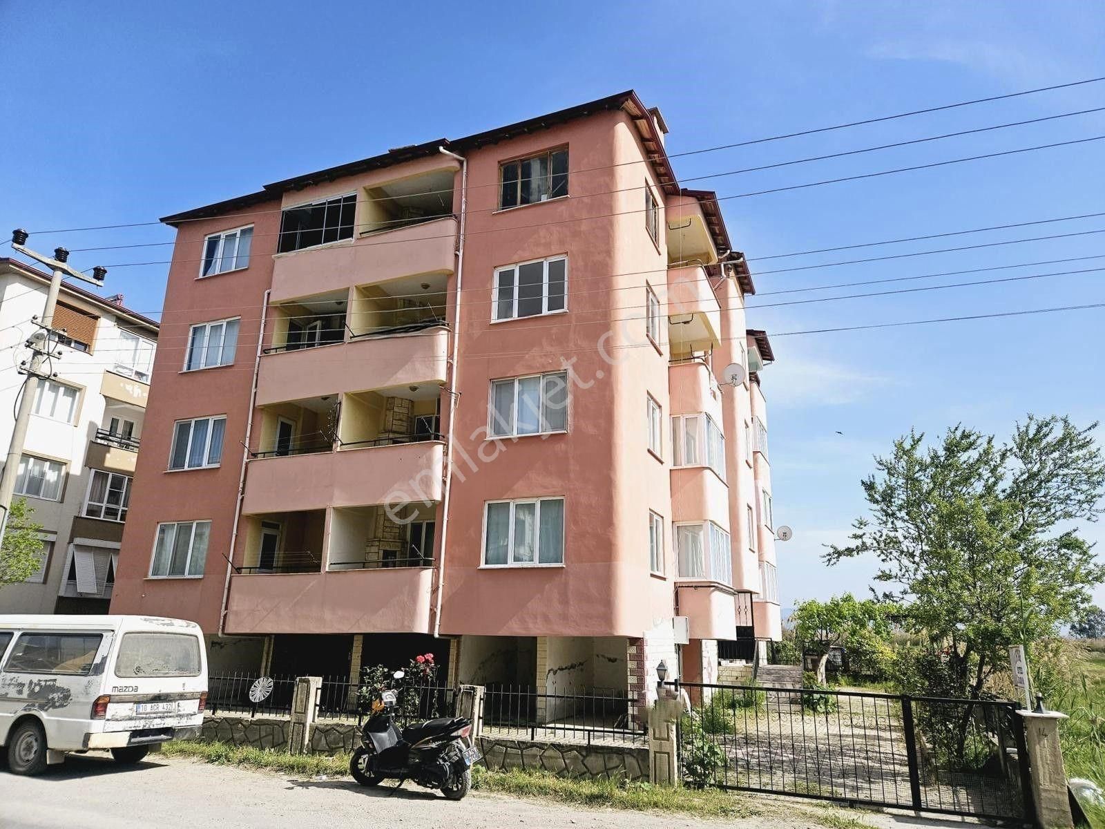 Kumsaldan Altınkumda Yeşillik İle İç İçe Ön Cephe_2+1_daire*