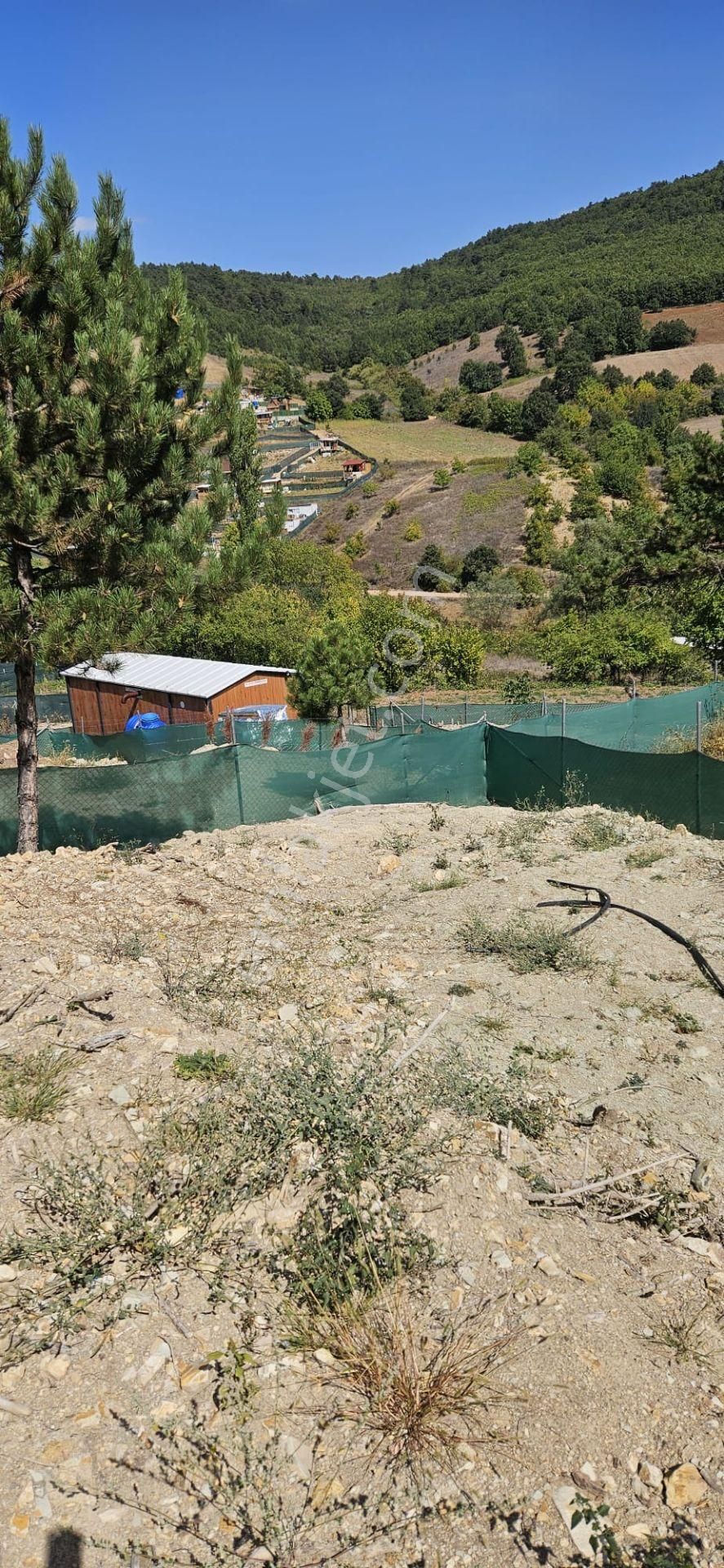 Bursa Kestel Umit Alanda220 Metre(55)+