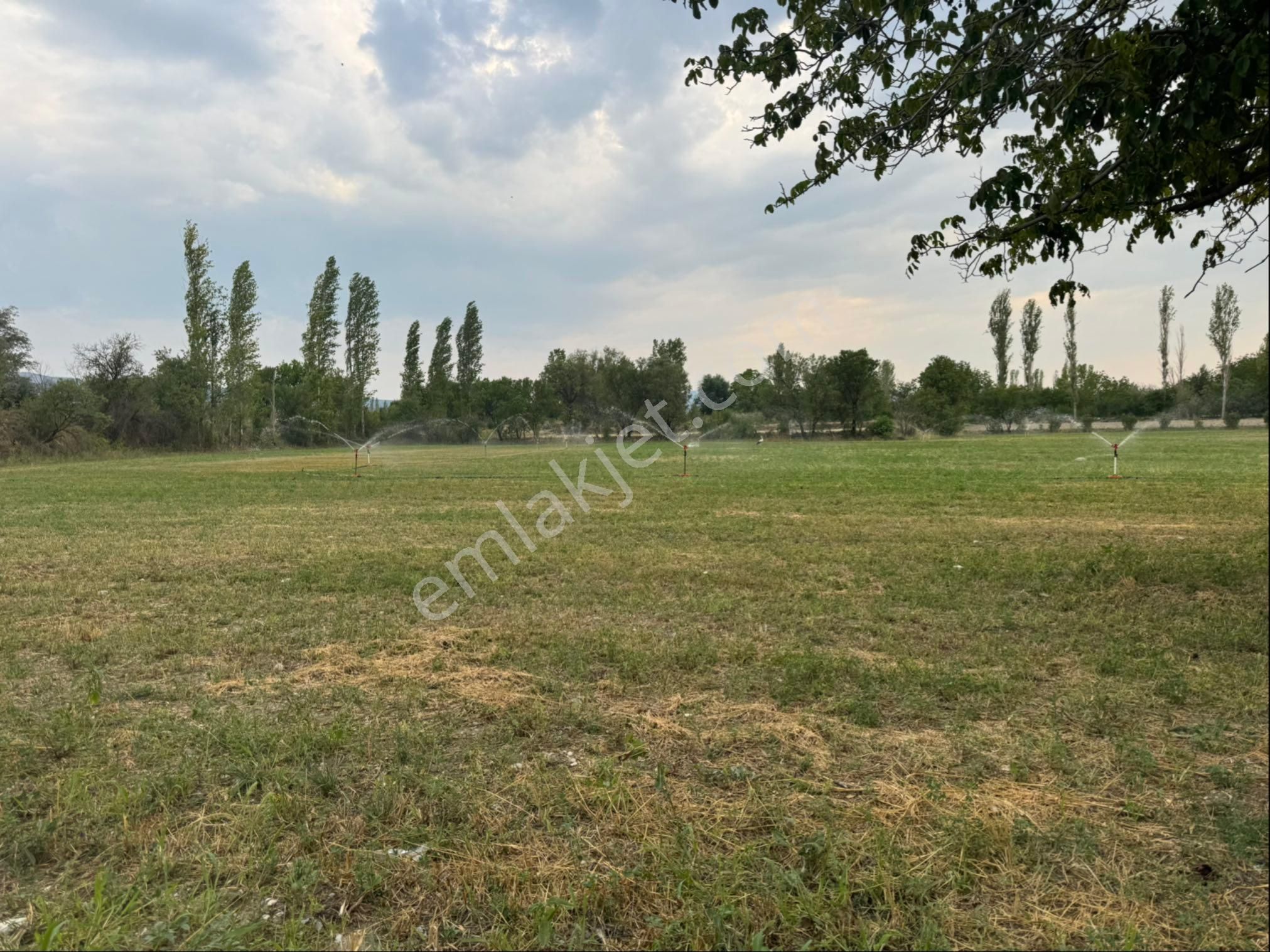 Burdur Merkez Kuruçay Da Kadastro Yolu Olan Tarla