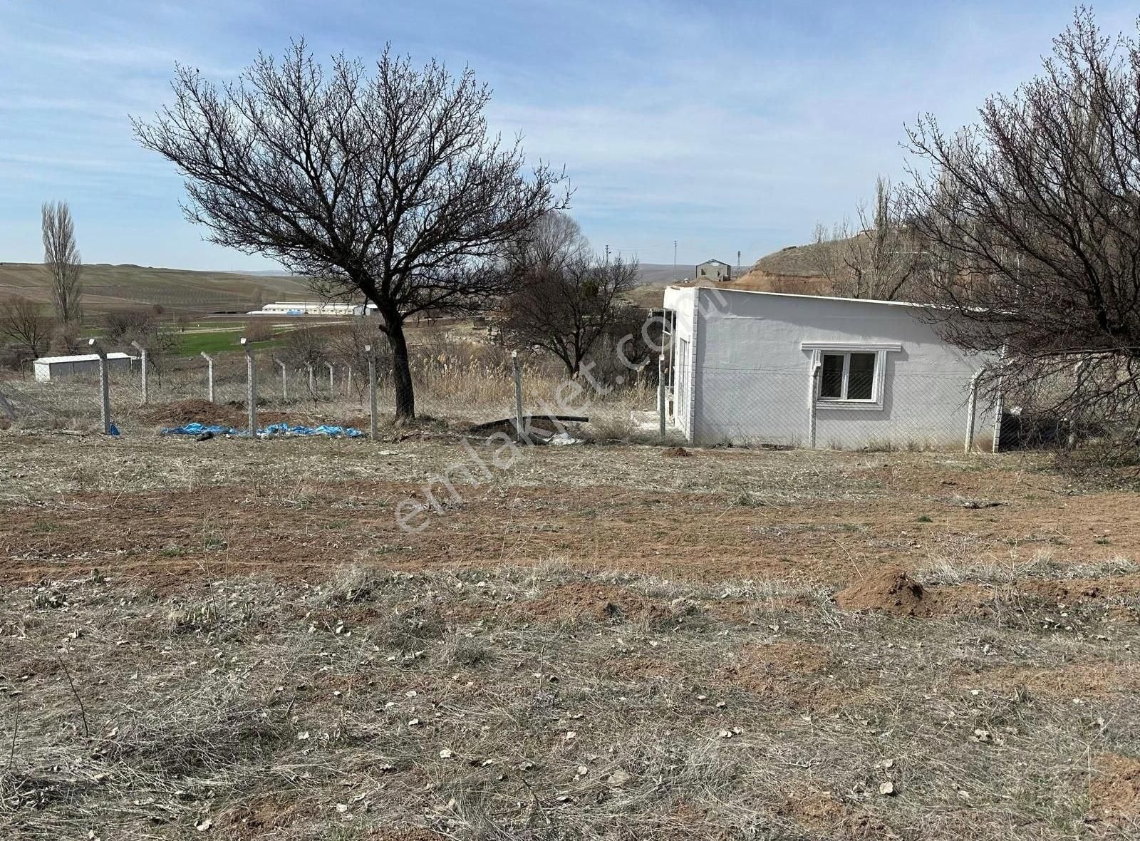Kocasinan Erkilet Kemerde İçerisinde Evli Bağ - Görsel 8