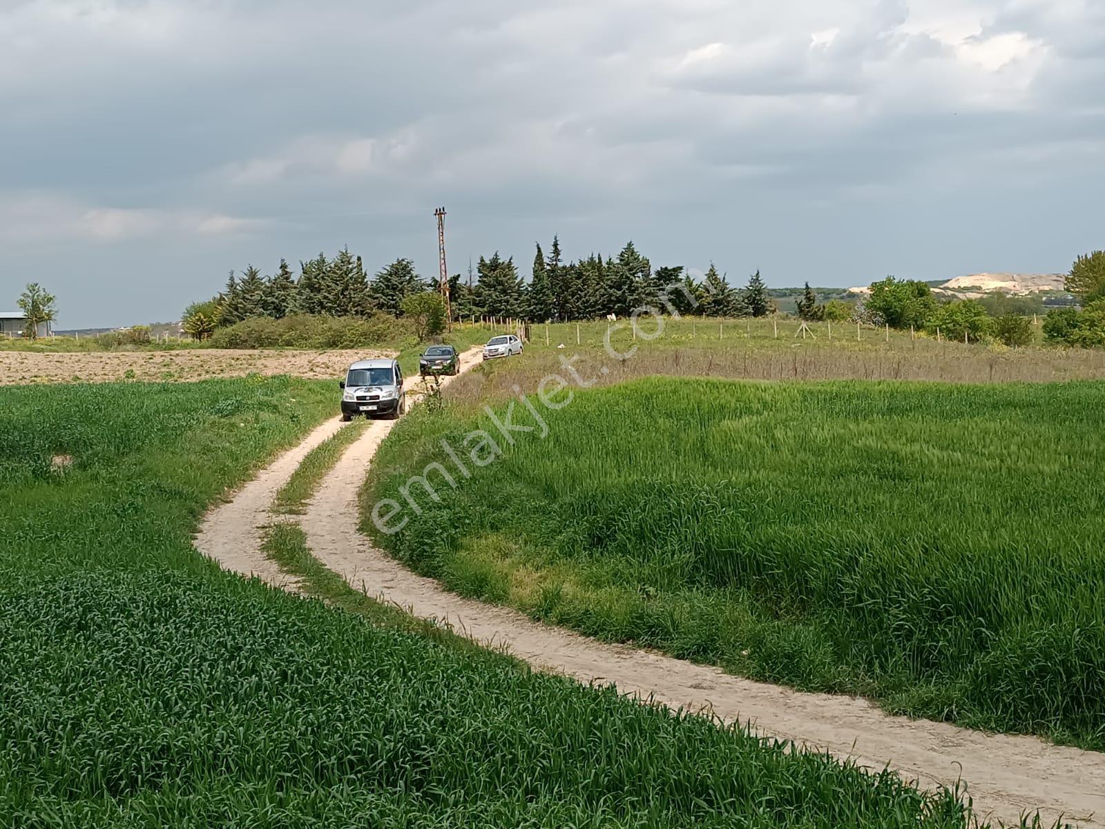 Vize Saray İstanbul Yolu Üzerinde Satılık 563 M2 Tarla - Görsel 7