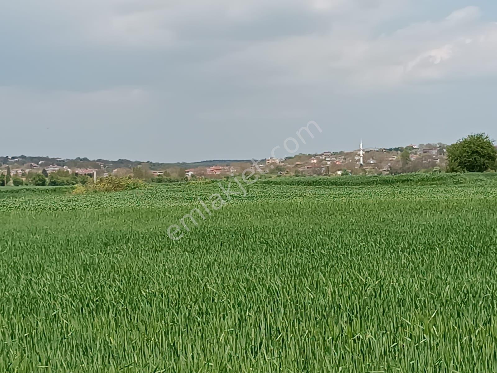 Vize Saray İstanbul Yolu Üzerinde Satılık 563 M2 Tarla - Görsel 14
