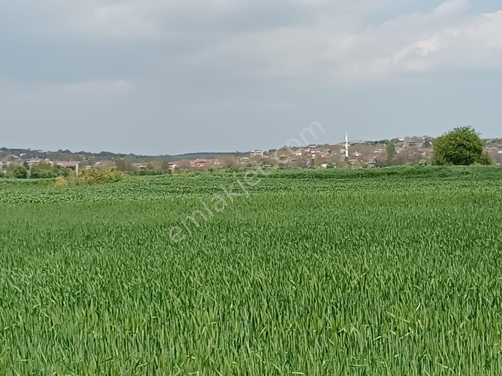 Vize Saray İstanbul Yolu Üzerinde Satılık 563 M2 Tarla - Görsel 13