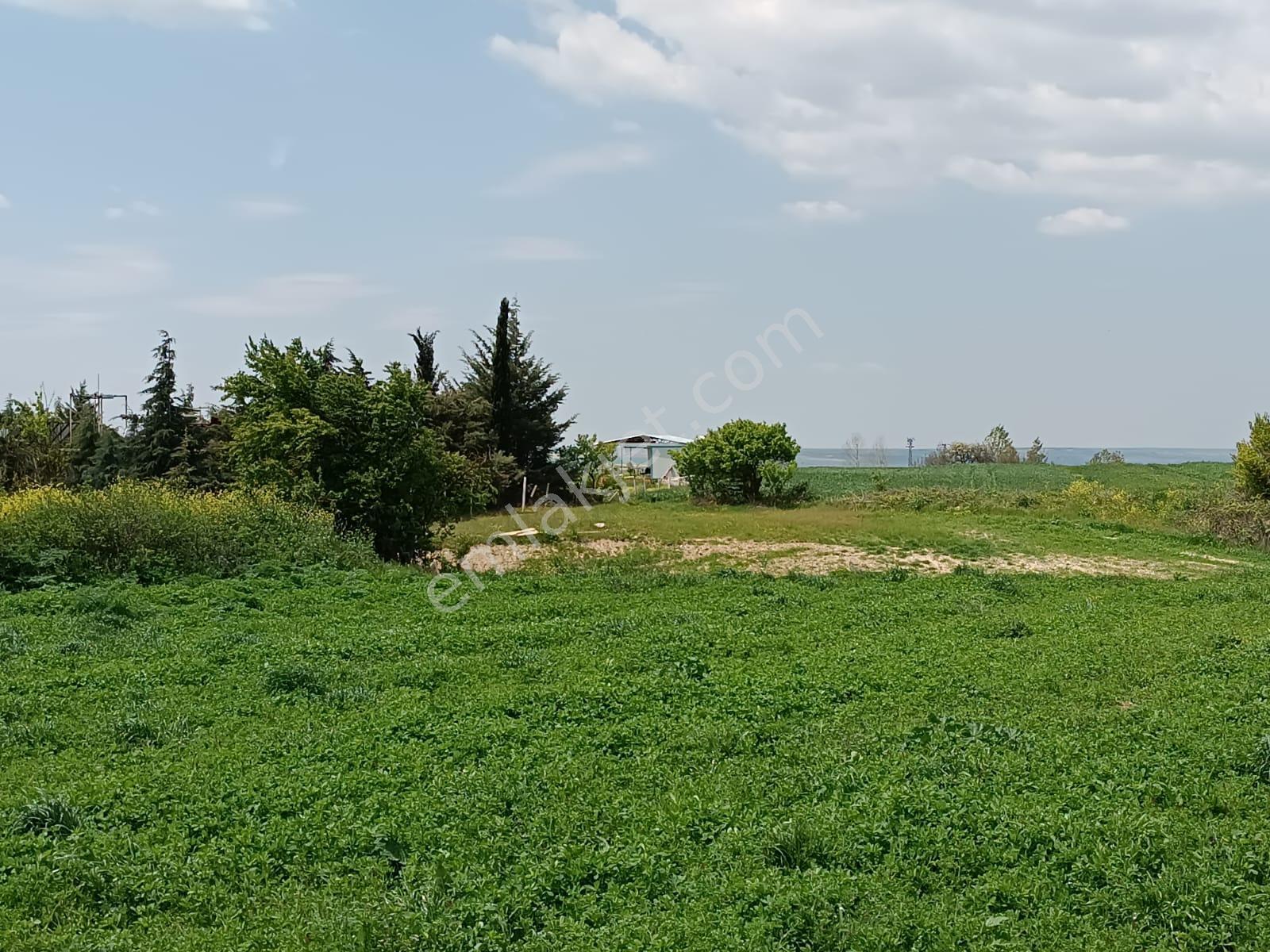 Vize Saray İstanbul Yolu Üzerinde Satılık 563 M2 Tarla - Görsel 17
