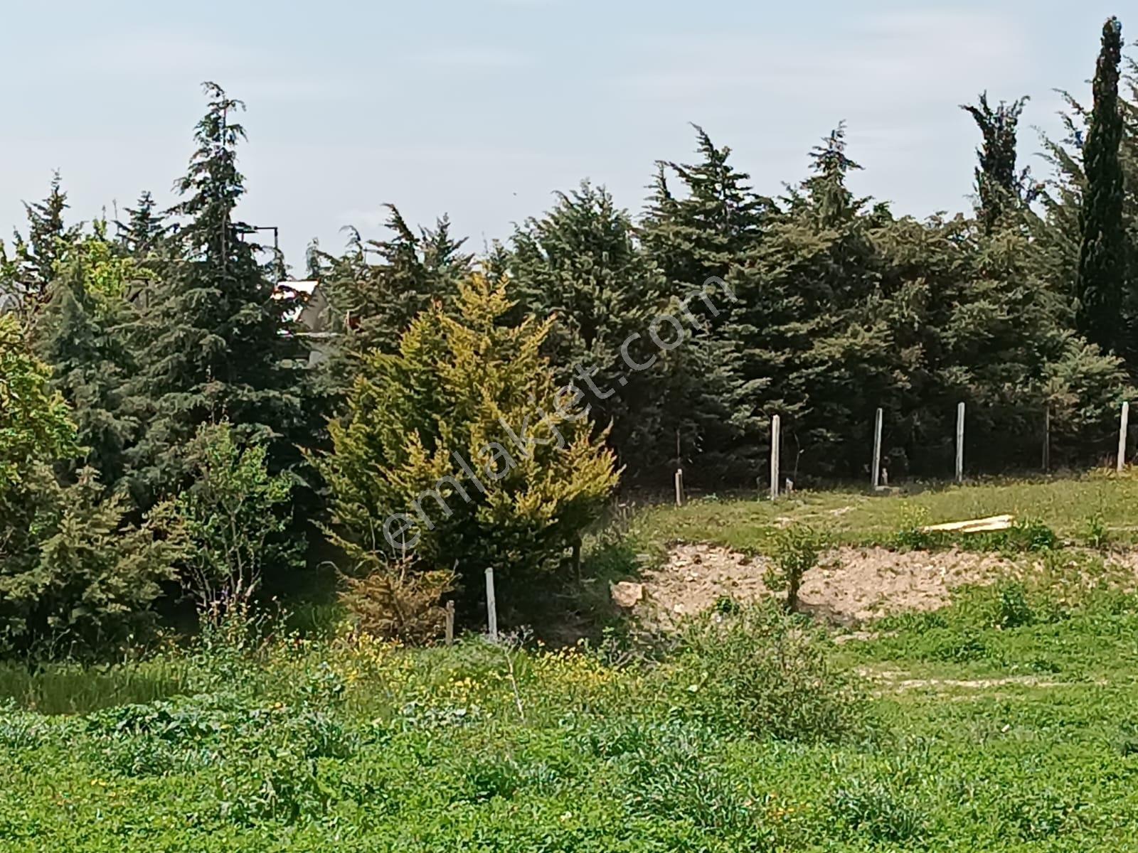 Vize Saray İstanbul Yolu Üzerinde Satılık 563 M2 Tarla - Görsel 11