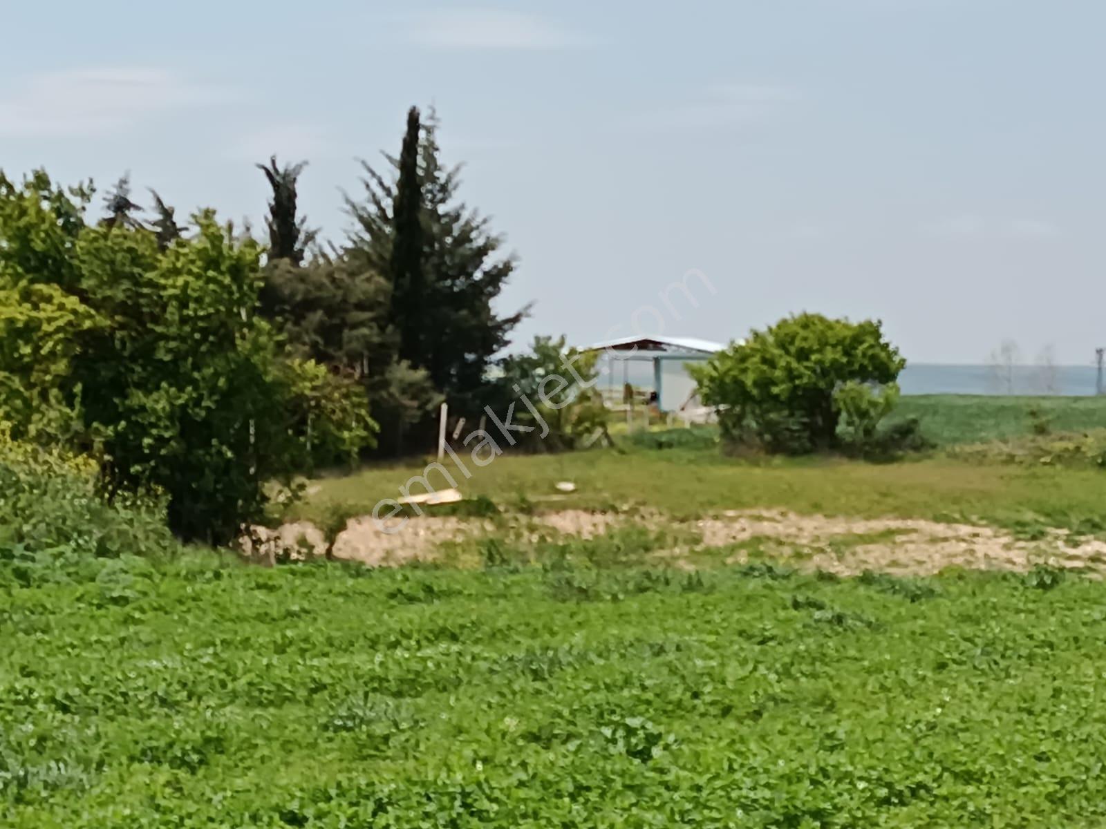 Vize Saray İstanbul Yolu Üzerinde Satılık 563 M2 Tarla - Görsel 12