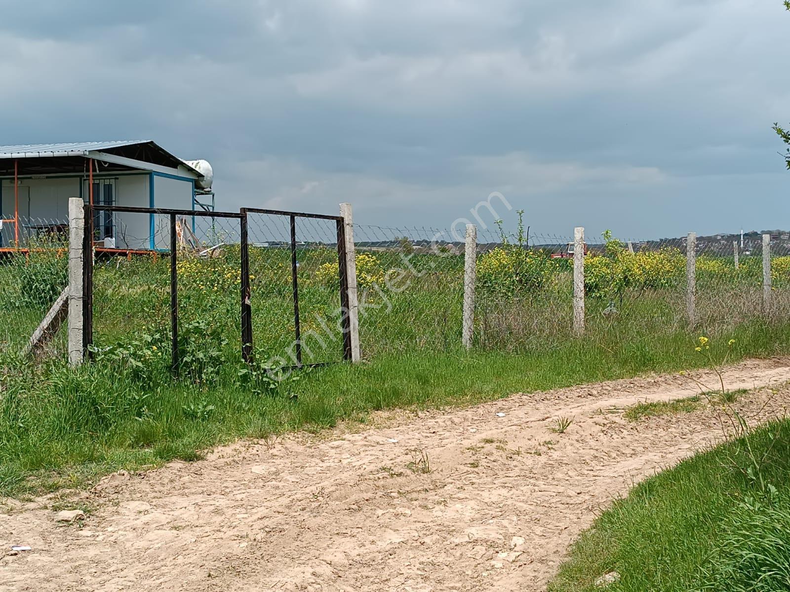 Vize Saray İstanbul Yolu Üzerinde Satılık 563 M2 Tarla - Görsel 5