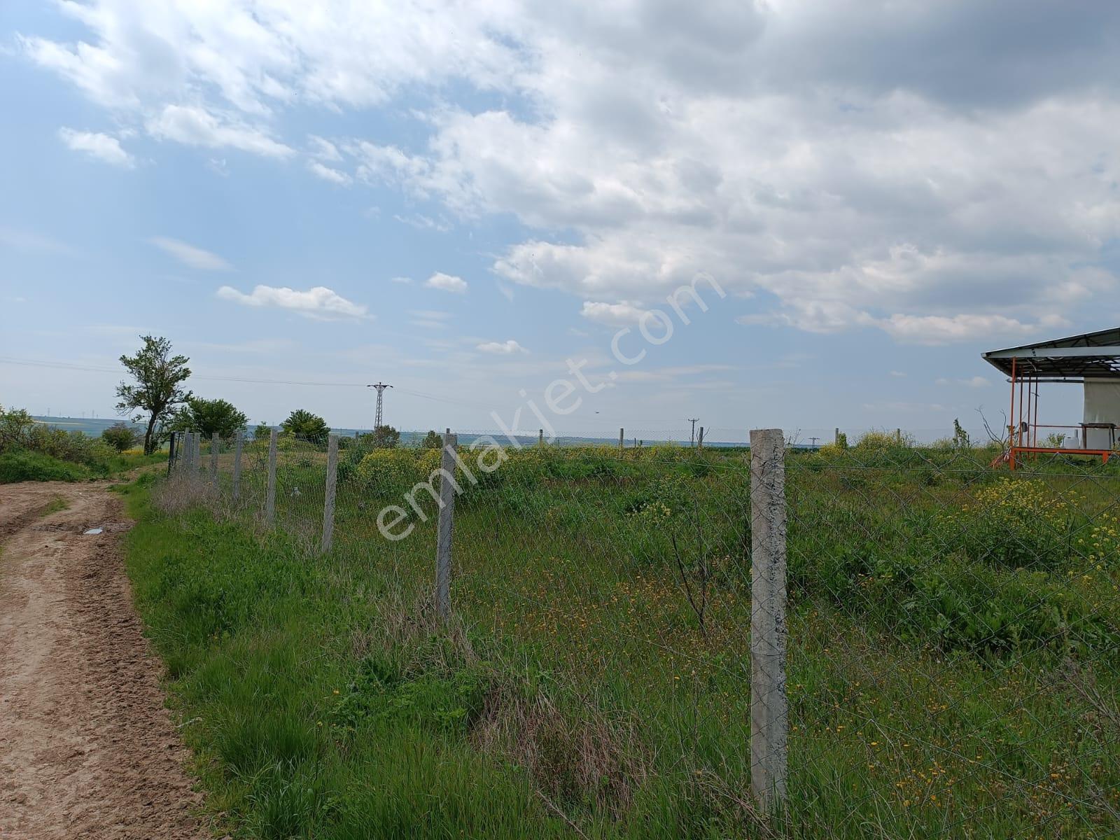 Vize Saray İstanbul Yolu Üzerinde Satılık 563 M2 Tarla - Görsel 4