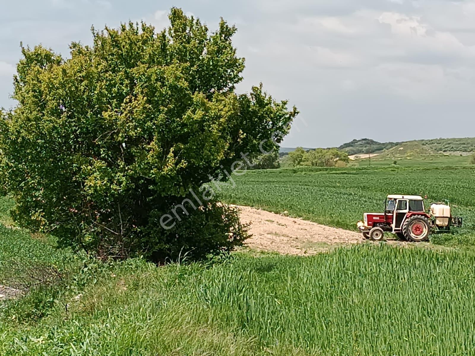 Vize Saray İstanbul Yolu Üzerinde Satılık 563 M2 Tarla - Görsel 8