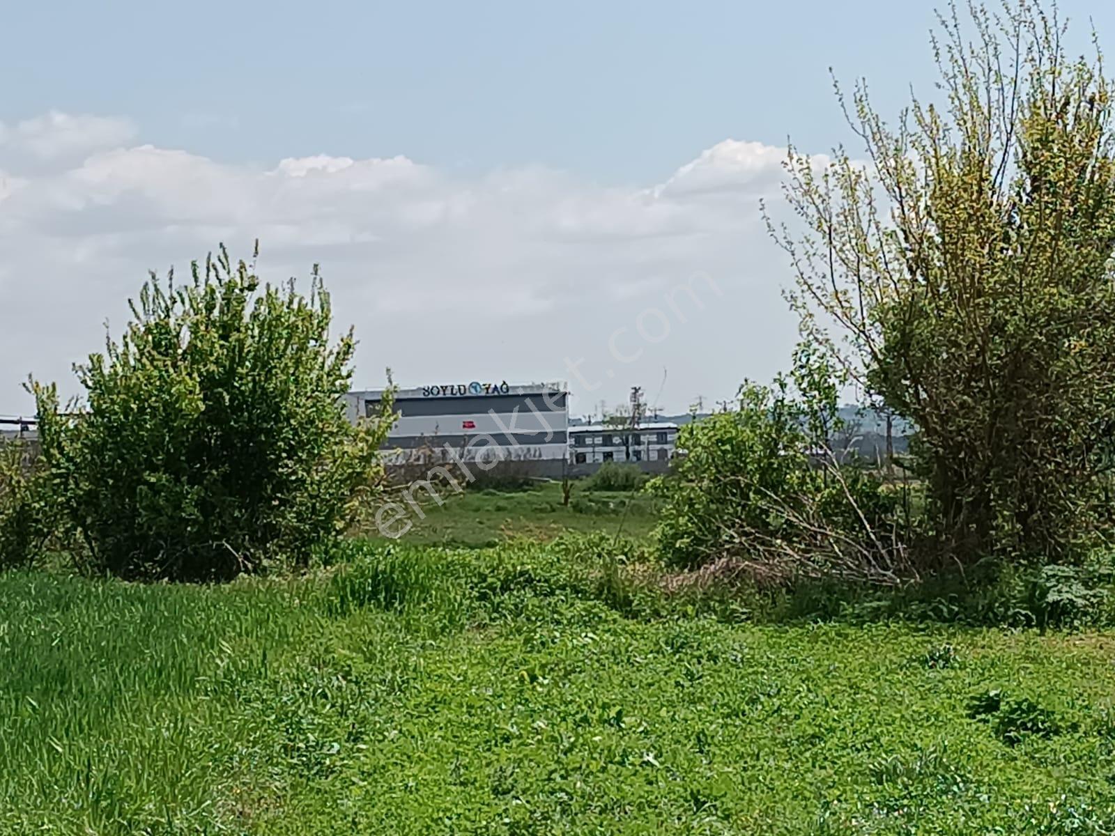 Vize Saray İstanbul Yolu Üzerinde Satılık 563 M2 Tarla - Görsel 14