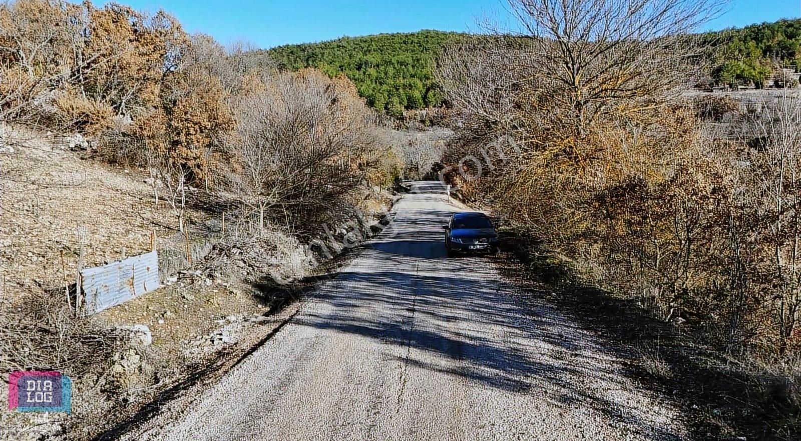 Acil Satılık Kiraz Bahçesi