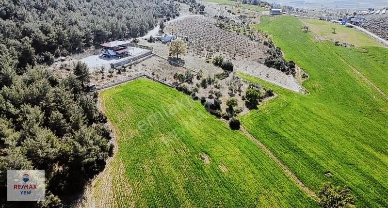 Re/max Yeni'den Elmalarda Tek Tapu Satılık Bağ / Bahçe