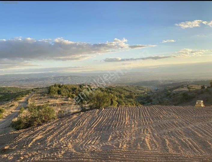 Bursa Osmangazi Yunus Eli 301 Metre (57)+