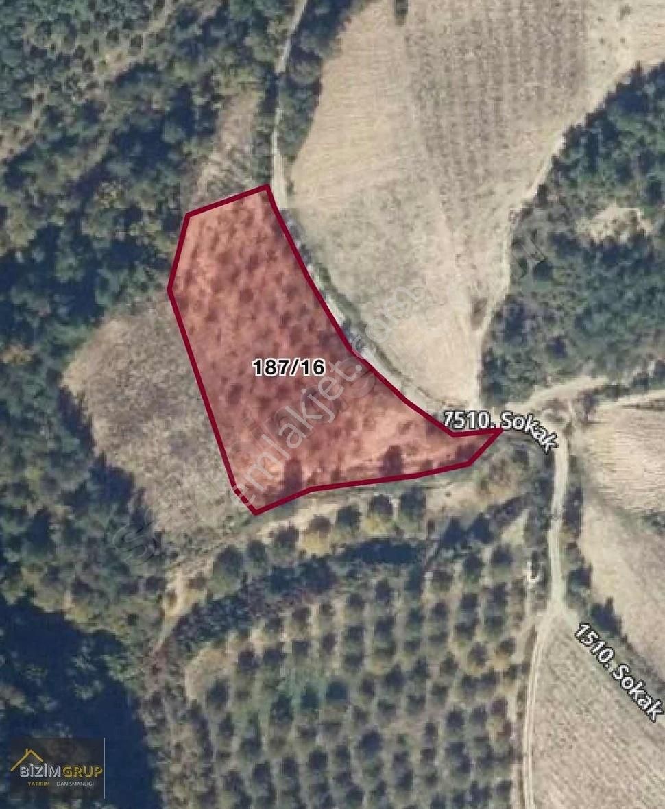 Ahıbaba Yol Kenarı