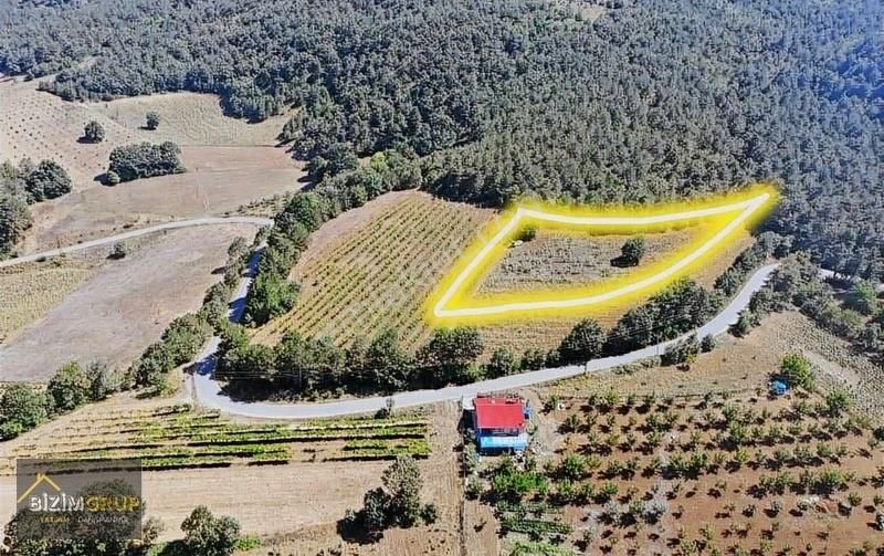 Yaz Kış Ulaşım Sorunu Olmayan Mükemmel Arazi