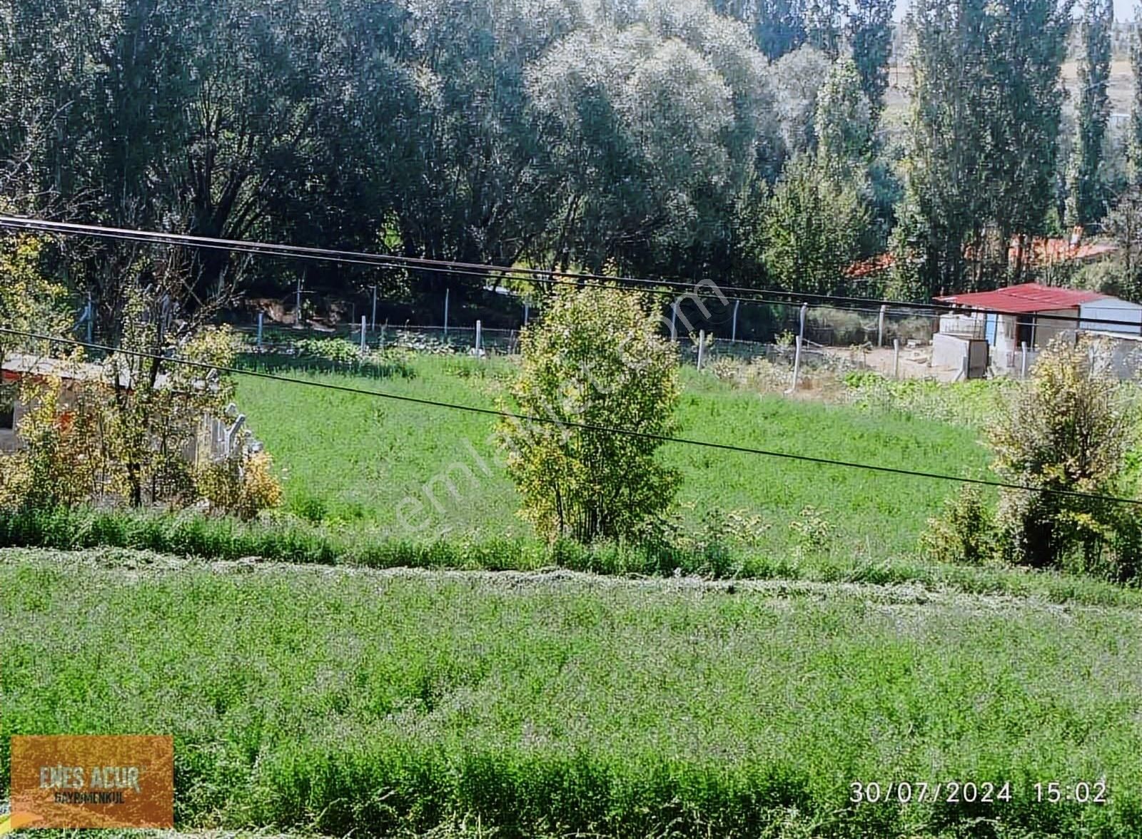 Enes Acur'dan Başarakavak Da 724 M2 Bahçe