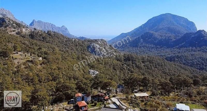 Zenginlik Ve Sadelik İsteyen Gelsin