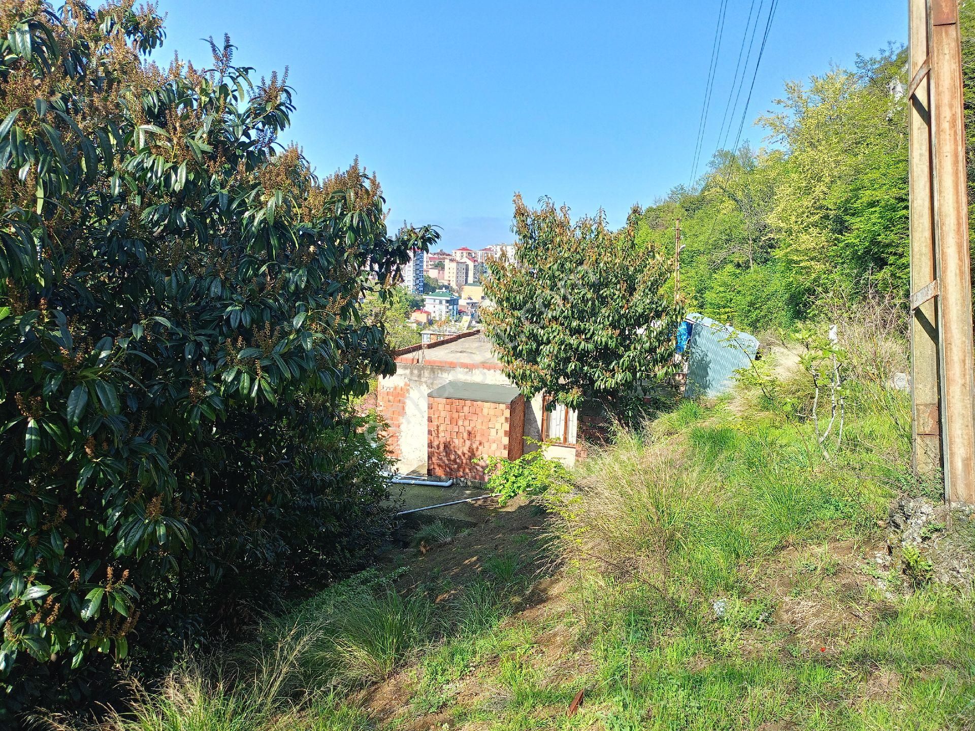 Akçaabat Sarıtaş' Ta Satılık Müstakil Bina + 261 M2 Arsa - Görsel 10