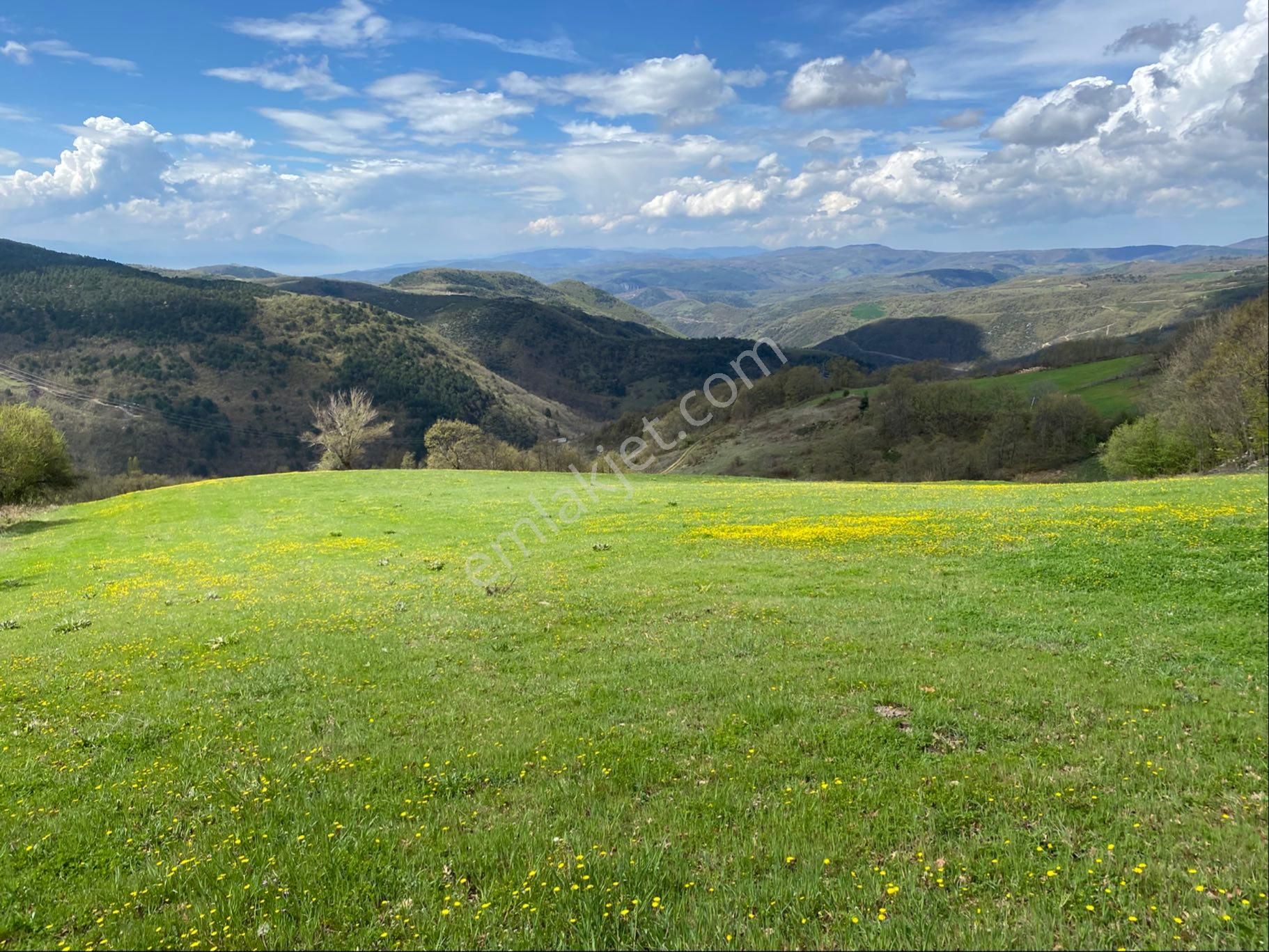 Doğanın Kalbinde Tarla Fırsatı