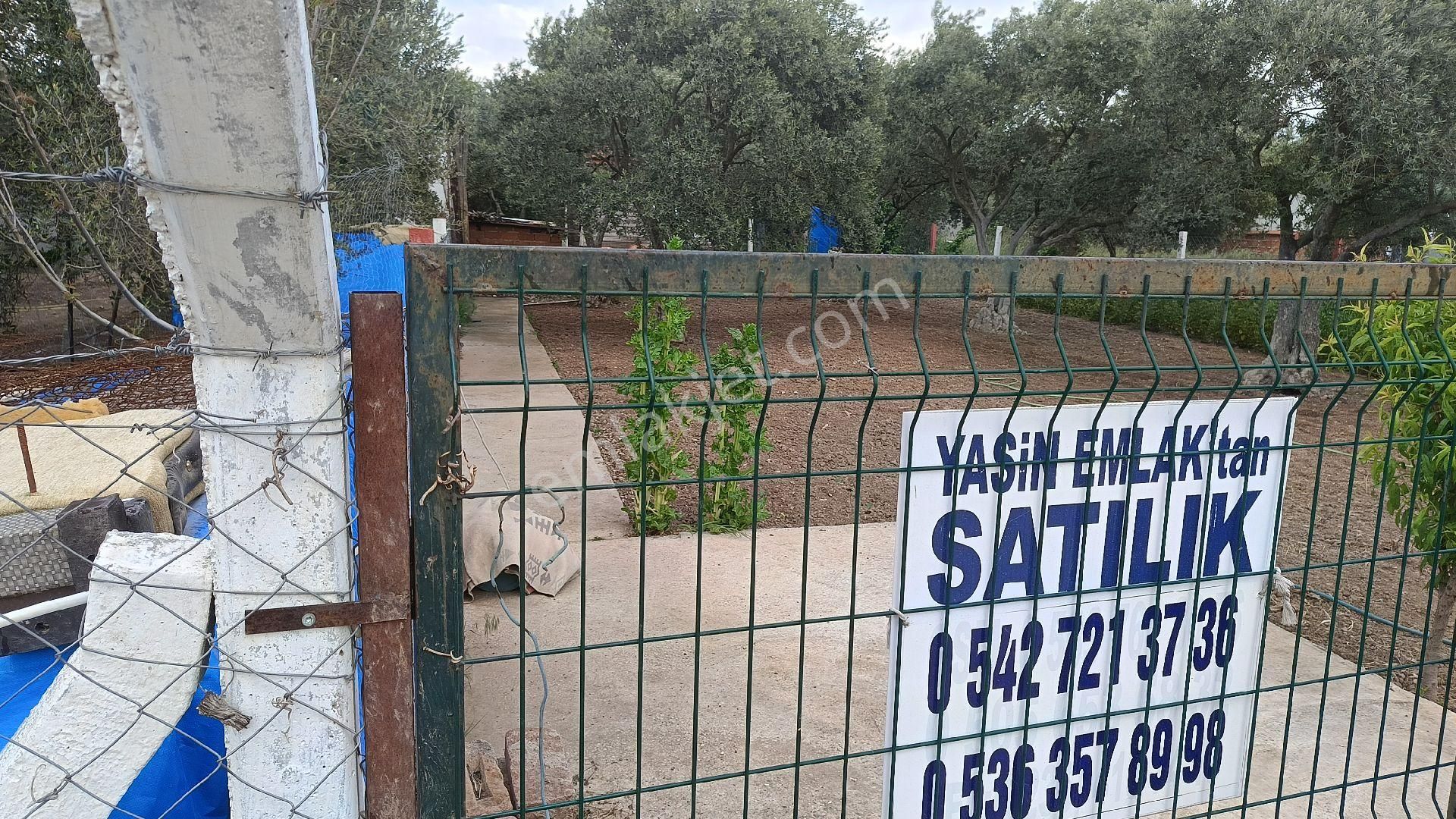 Yasin Emlak Tan Manisa Akhisar Efendi Mah Nde Hhobi Bahçesi