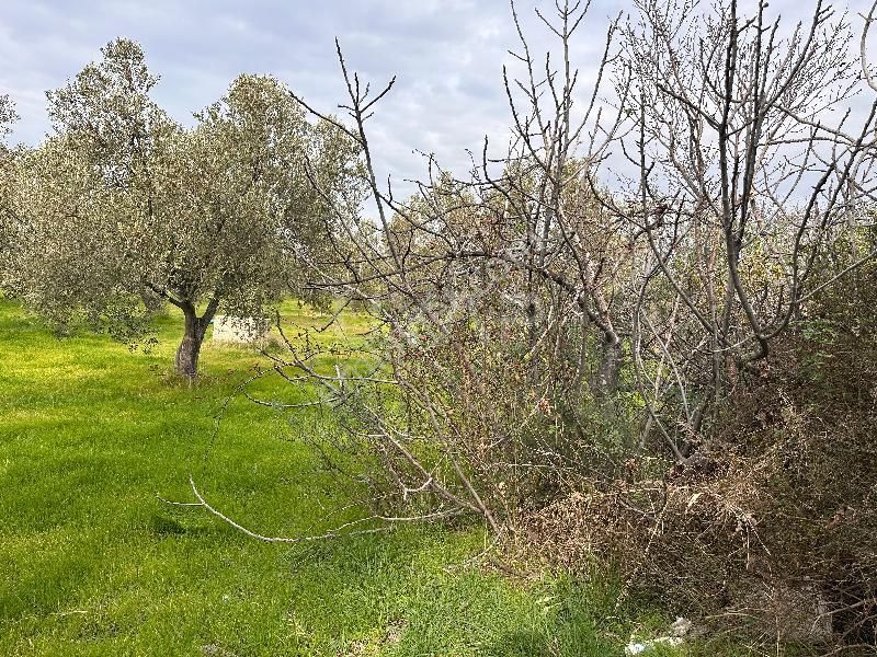 Çanakkale Ayvacık 10 M2 Müstakil Tapu Deniz Manzaralı Arazi