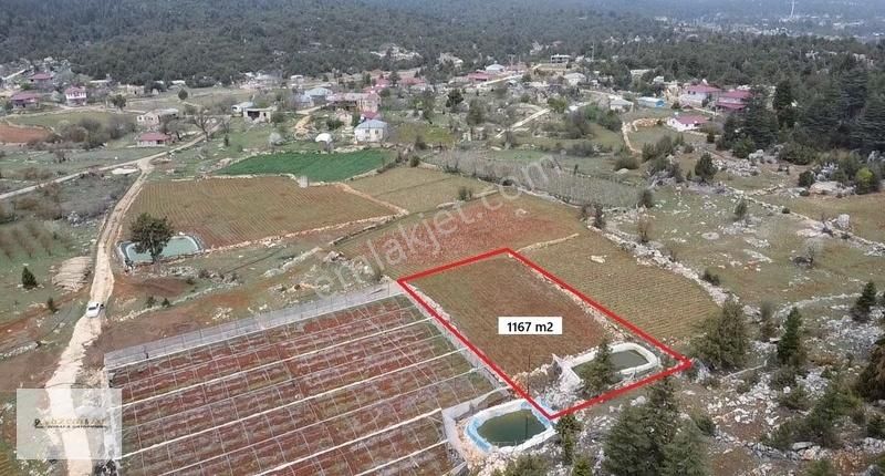 Erdemli Elbeyli 1167 M2 Tek Tapu Satılık