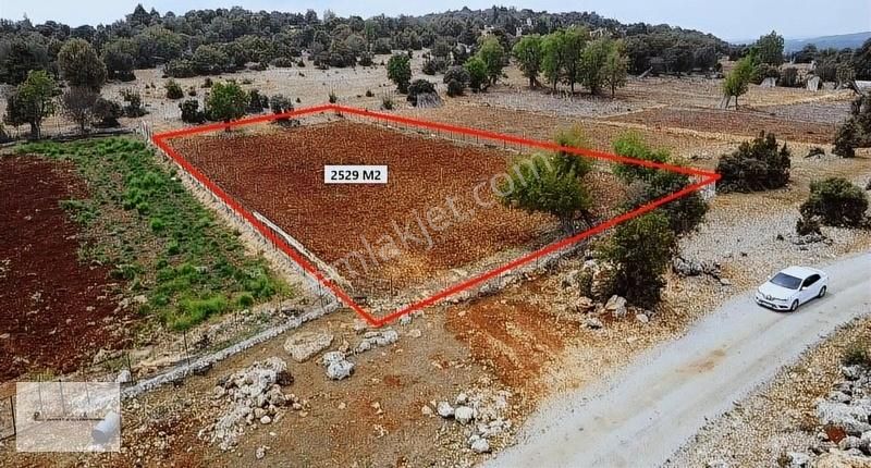 Erdemli Küstülü 2529 M2 Tek Tapu Satılık