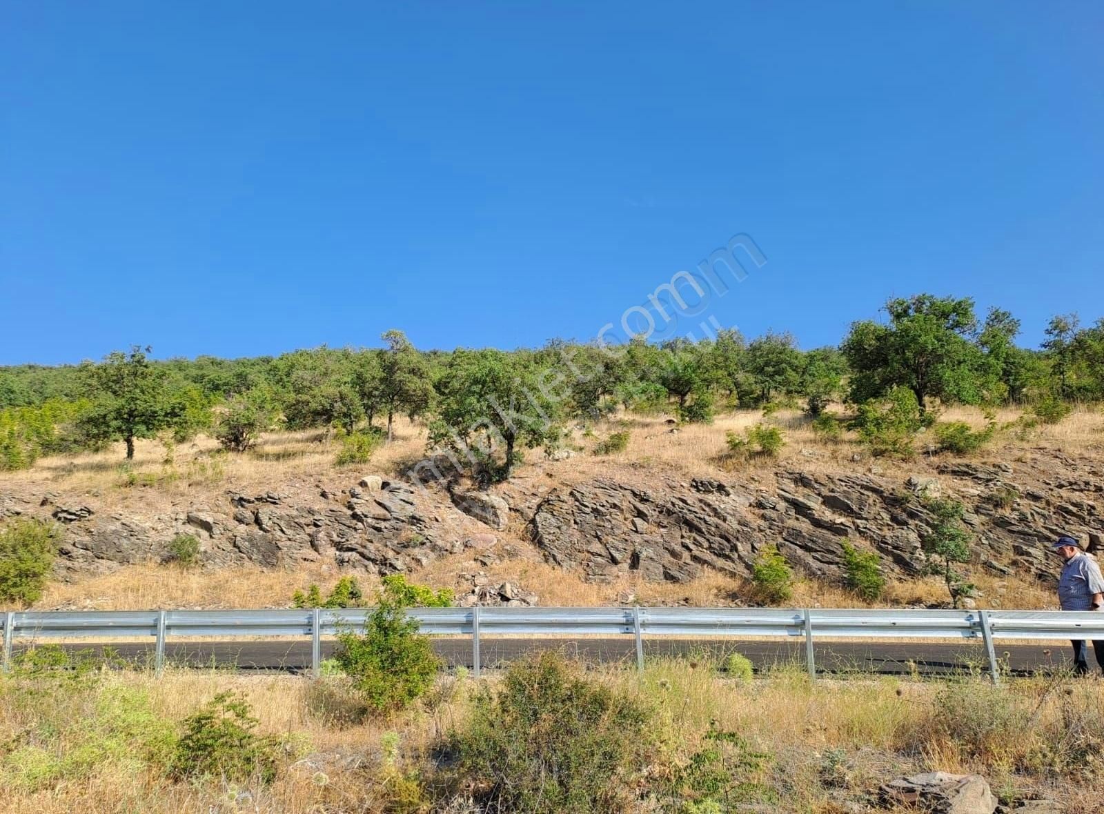 Ayaş Çanıllı Uluyol Da Satılık Tarla