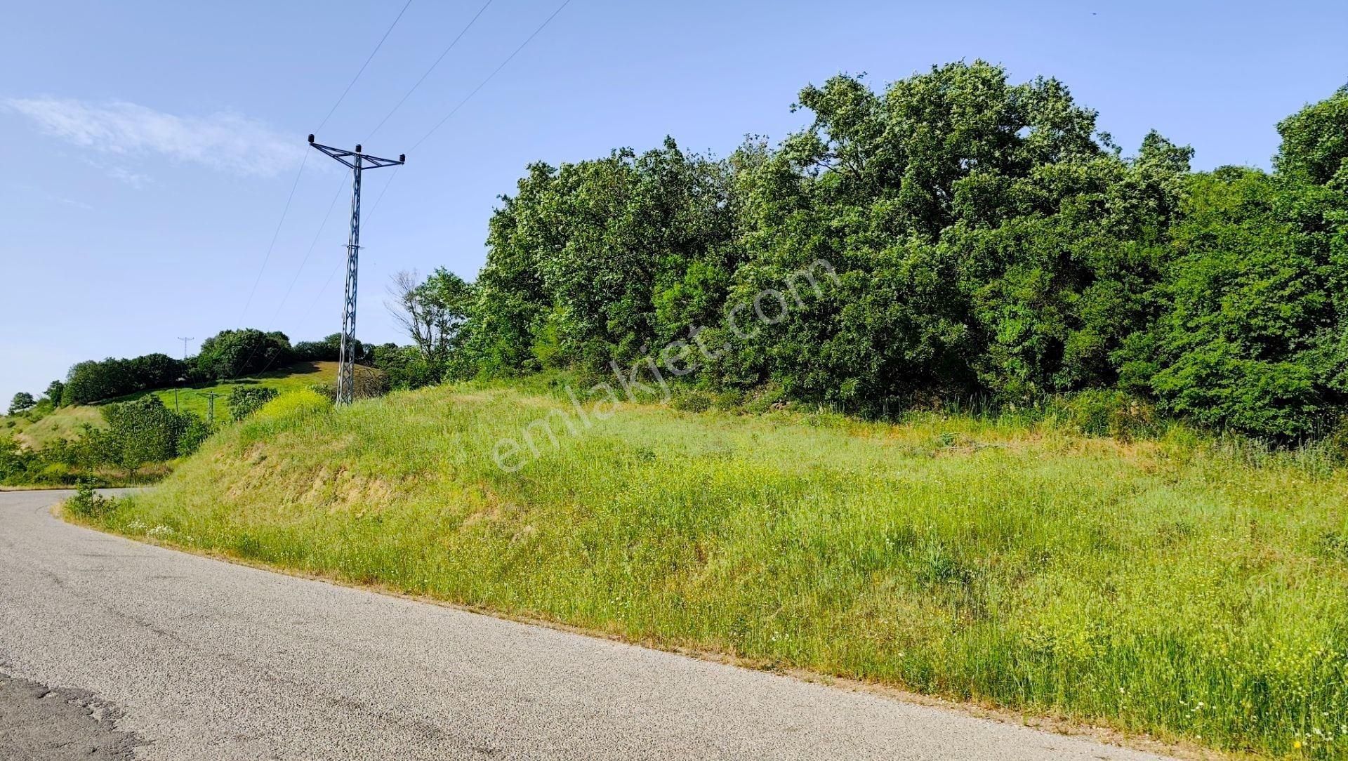 Çanakkale Biga Çeltyik Köyü 856 M² İmarlı Köy Arsası - Görsel 20