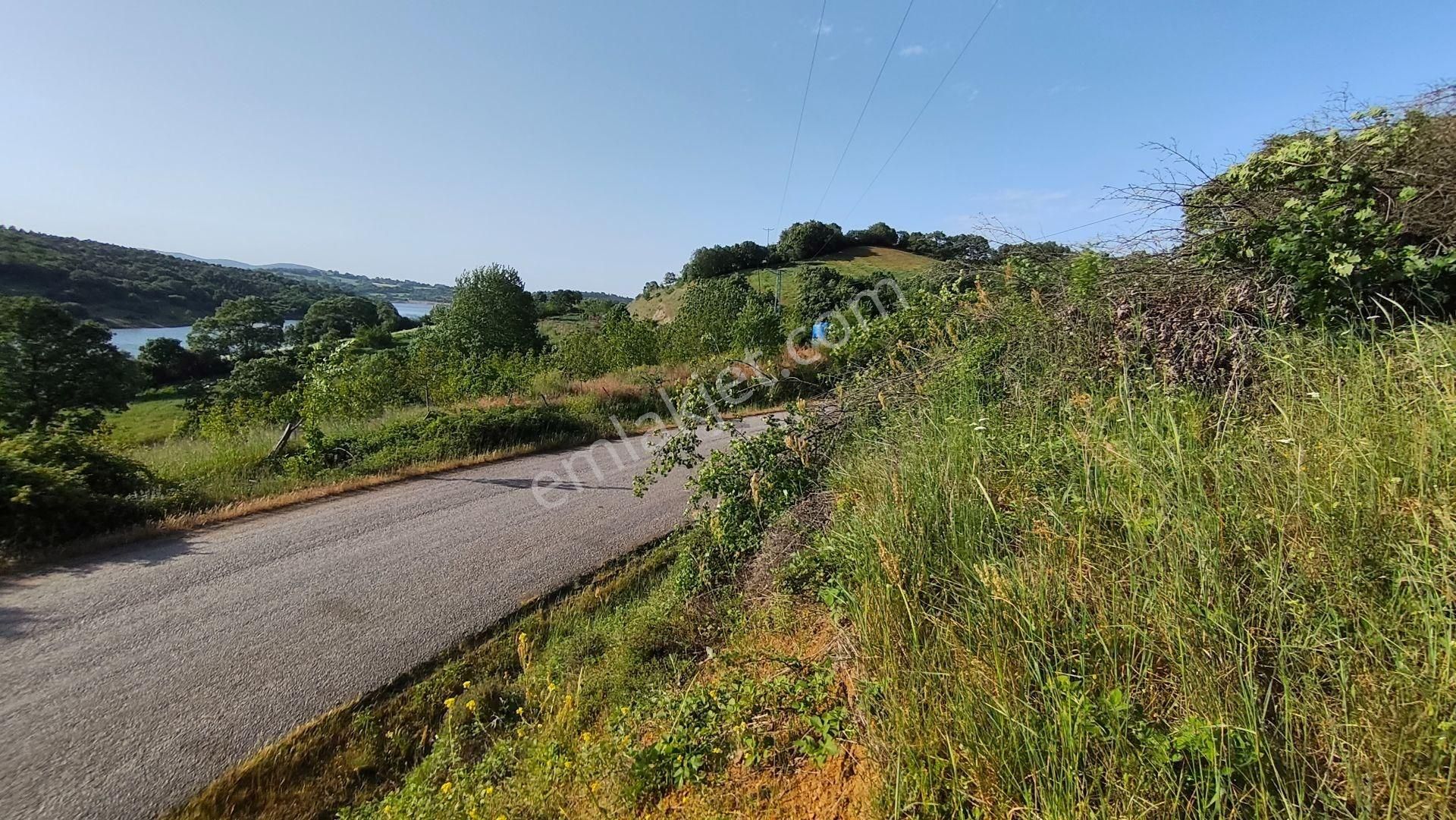 Çanakkale Biga Çeltyik Köyü 856 M² İmarlı Köy Arsası - Görsel 11