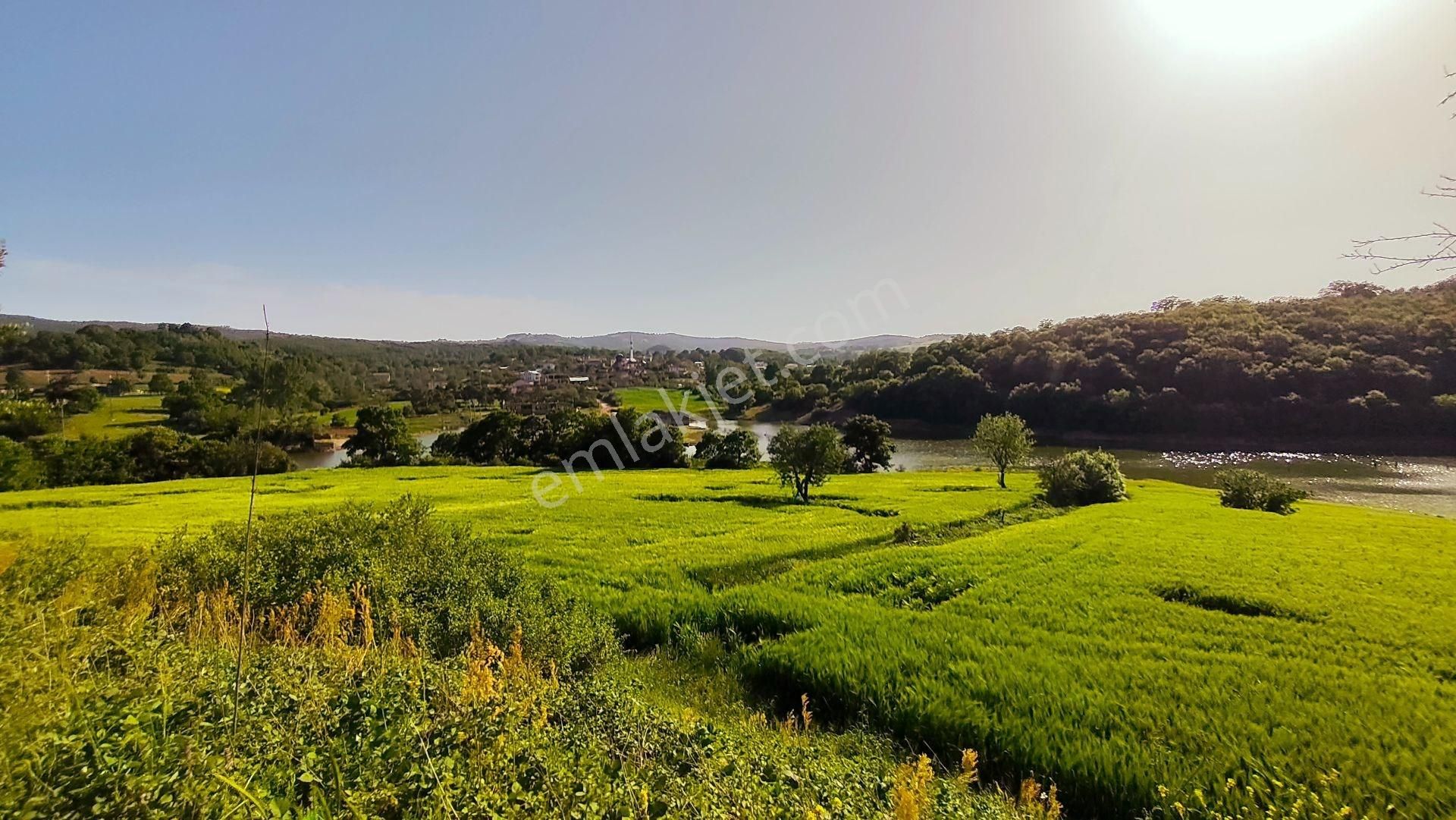 Çanakkale Biga Çeltyik Köyü 856 M² İmarlı Köy Arsası - Görsel 26