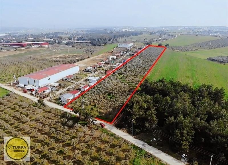 Kısık Mobilya Şehri Yakını 14 Dönüm Kupon Acil Satılık Tarla