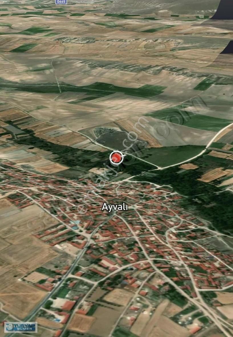 Turyap Sümer'den Seyitgazi Ayvalı Mah.satılık Bahçe