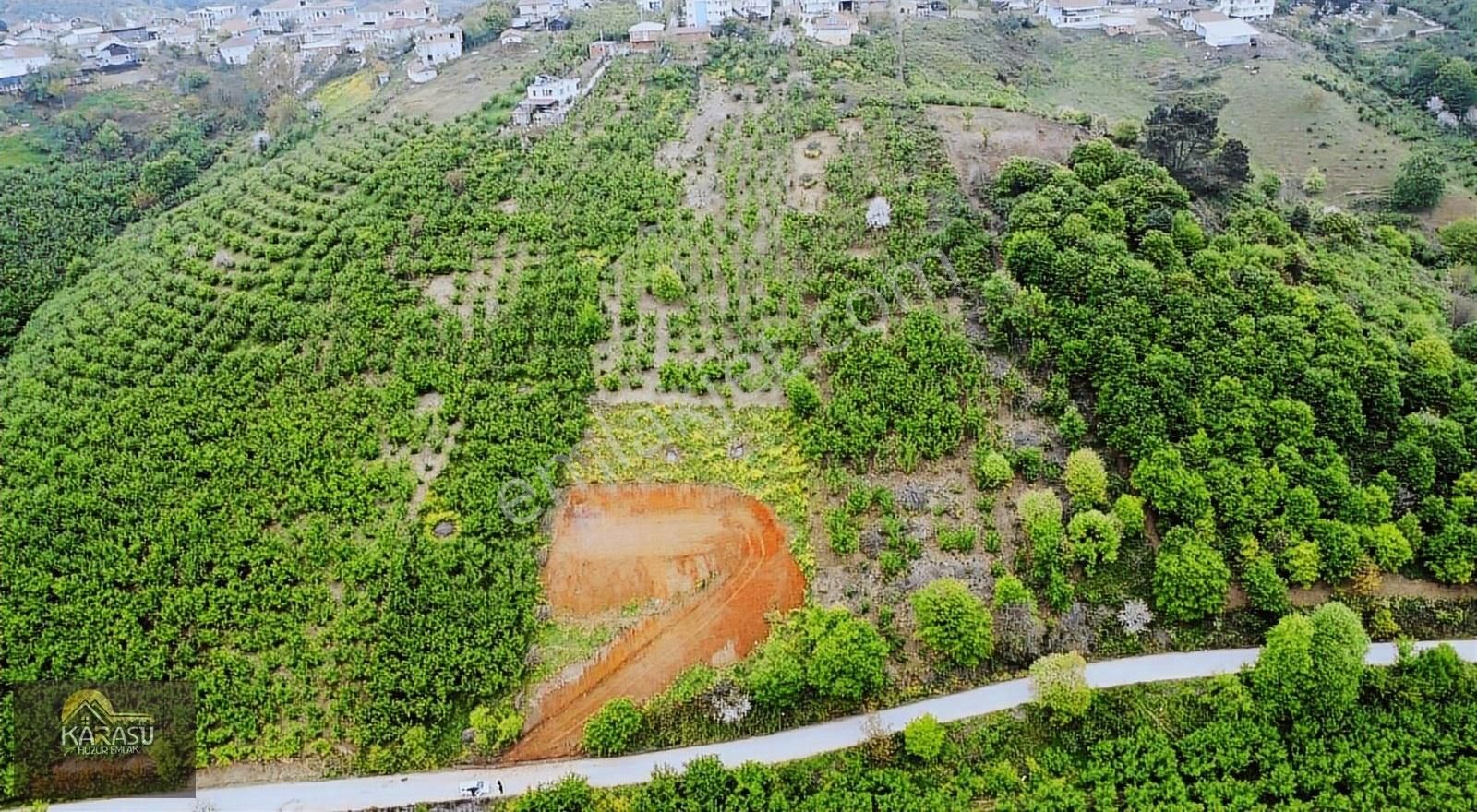 Karasu Huzur Emlaktan 5985m2 Ev Yapımına Uygun Fndıklık Ve Arazi