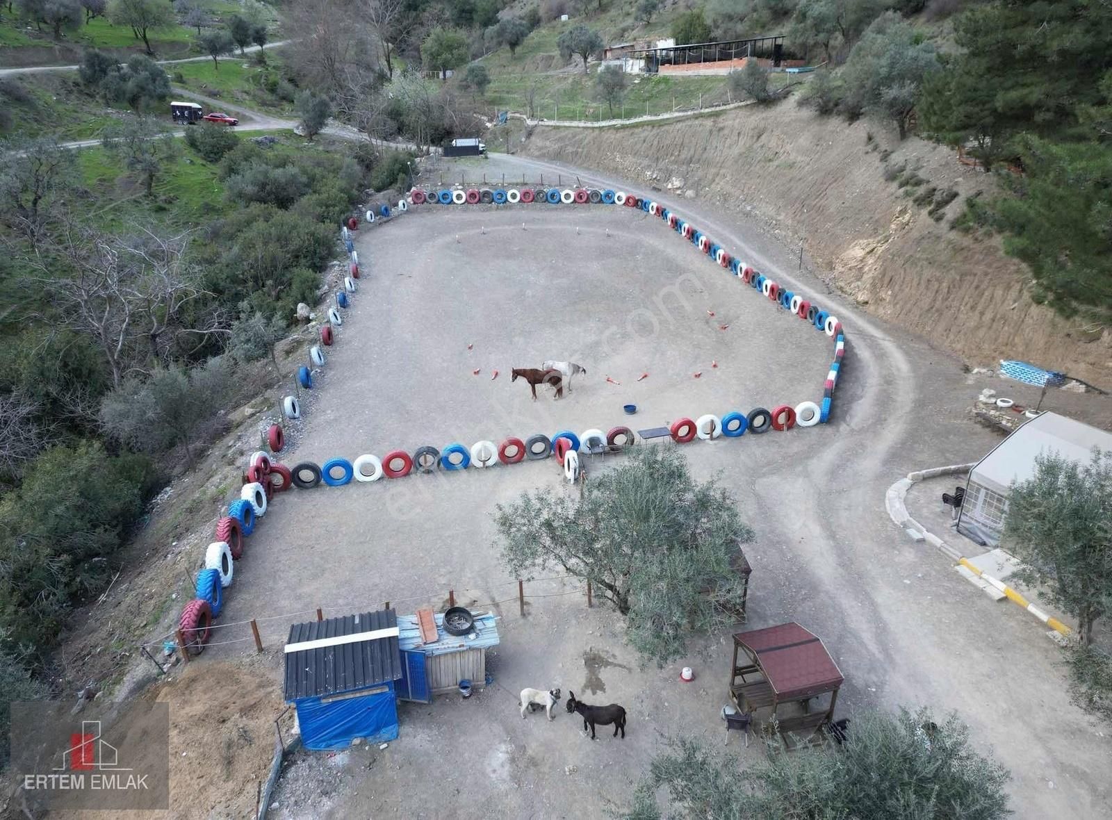 Manisa Satılık At Çiftliği, 2+1 Ev, Ağır, Kafeterya