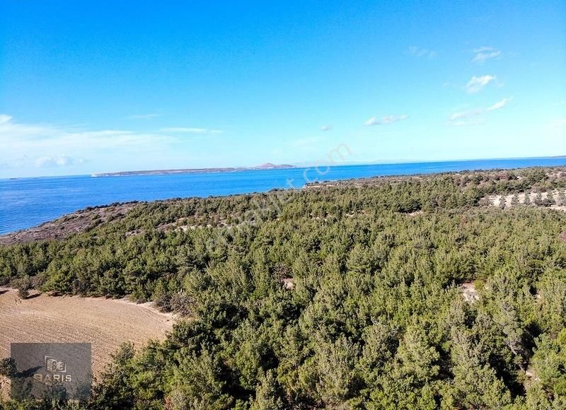 Çanakkale Ezine'de Denize Yakın Geleceğe Yatırımlık Satılık Arsa - Görsel 20