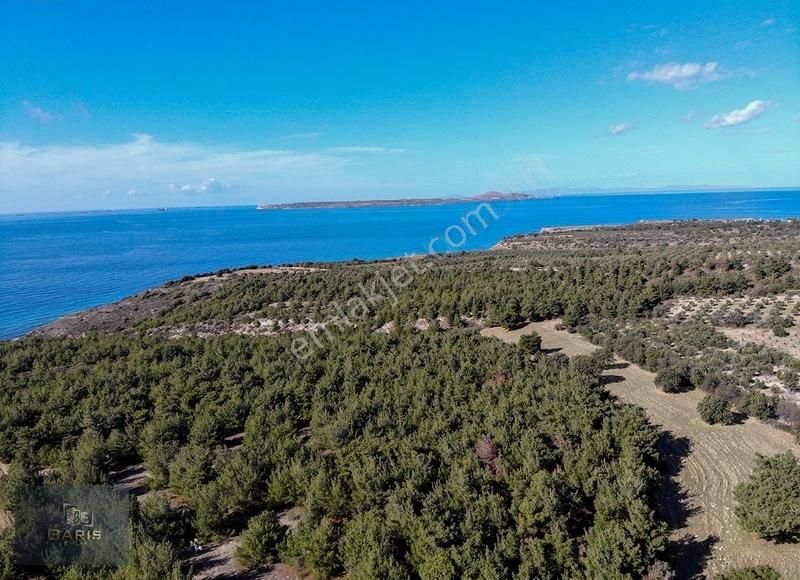 Çanakkale Ezine'de Denize Yakın Geleceğe Yatırımlık Satılık Arsa - Görsel 8