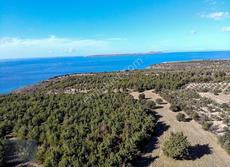 Çanakkale Ezine'de Denize Yakın Geleceğe Yatırımlık Satılık Arsa - Görsel 13