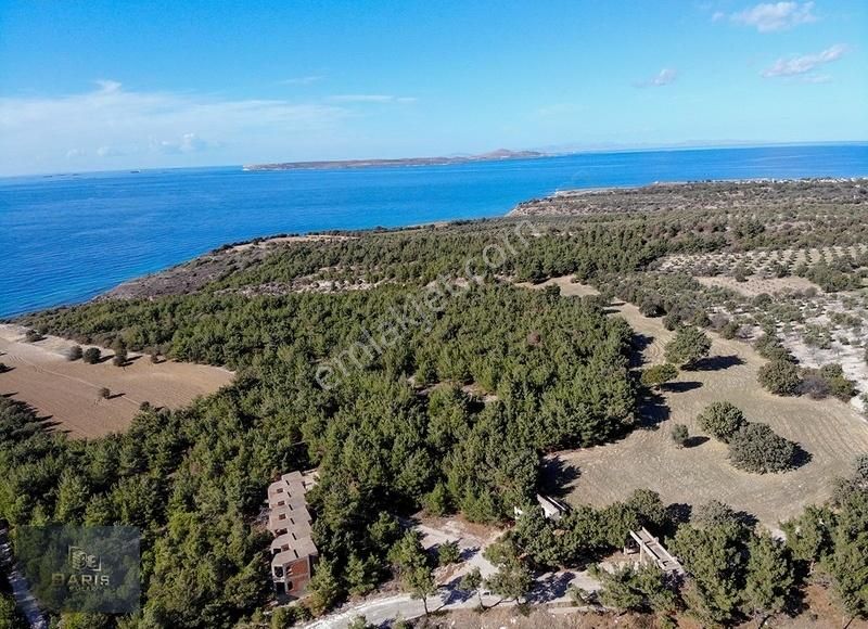 Çanakkale Ezine'de Denize Yakın Geleceğe Yatırımlık Satılık Arsa - Görsel 15