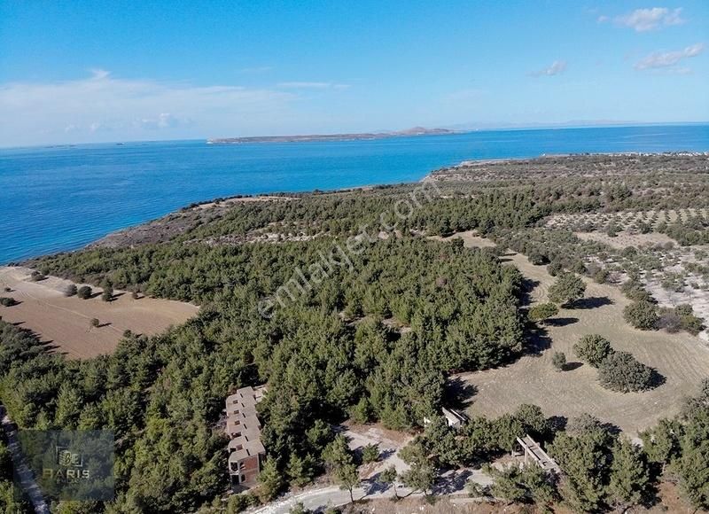 Çanakkale Ezine'de Denize Yakın Geleceğe Yatırımlık Satılık Arsa - Görsel 17