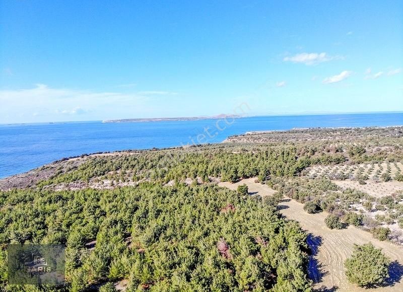 Çanakkale Ezine'de Denize Yakın Geleceğe Yatırımlık Satılık Arsa - Görsel 7
