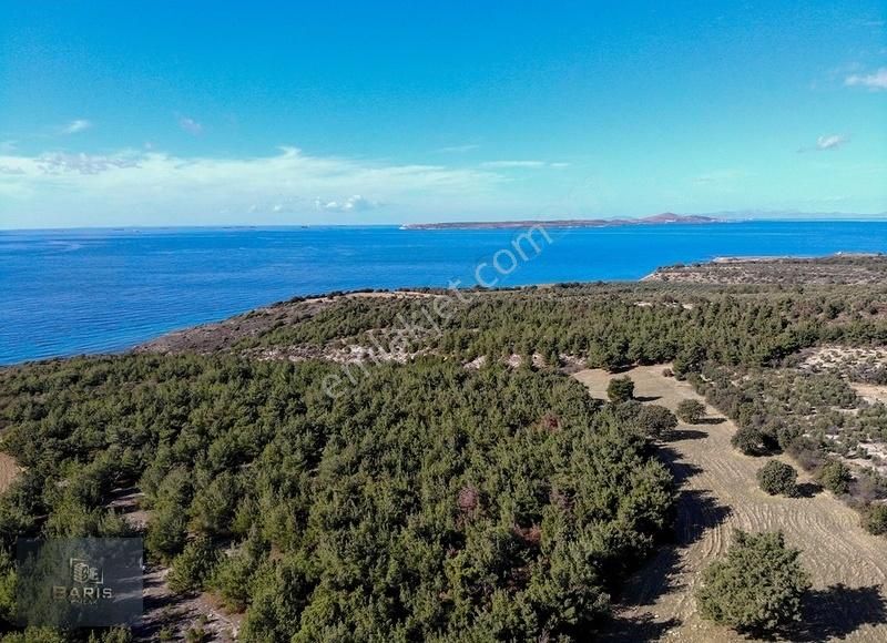 Çanakkale Ezine'de Denize Yakın Geleceğe Yatırımlık Satılık Arsa - Görsel 10