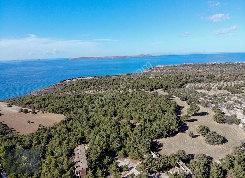 Çanakkale Ezine'de Denize Yakın Geleceğe Yatırımlık Satılık Arsa - Görsel 12