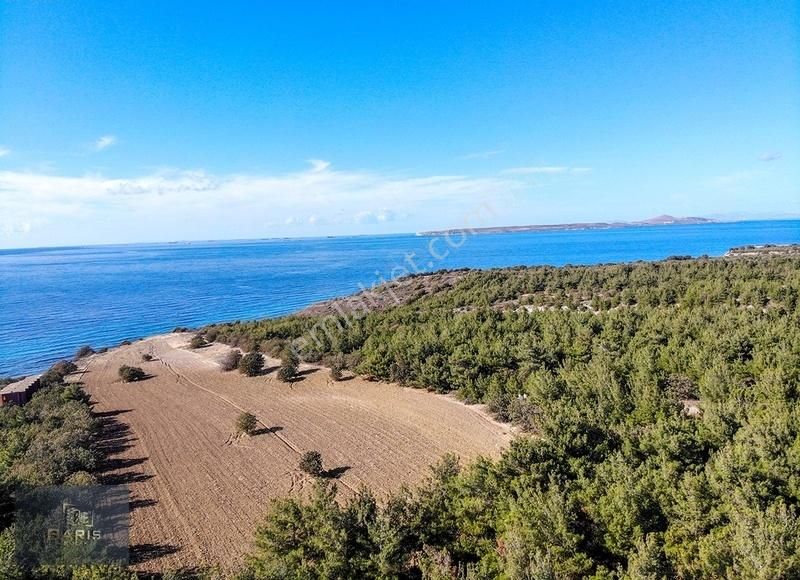 Çanakkale Ezine'de Denize Yakın Geleceğe Yatırımlık Satılık Arsa - Görsel 5