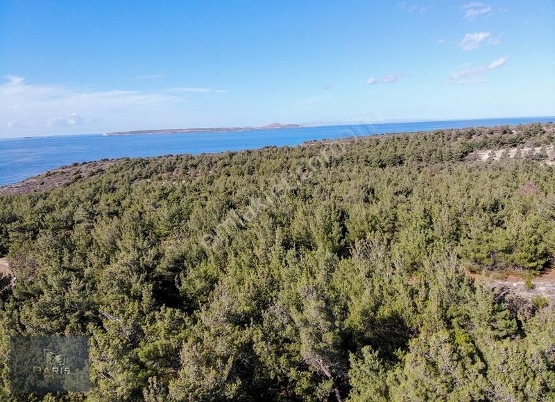 Çanakkale Ezine'de Denize Yakın Geleceğe Yatırımlık Satılık Arsa - Görsel 16