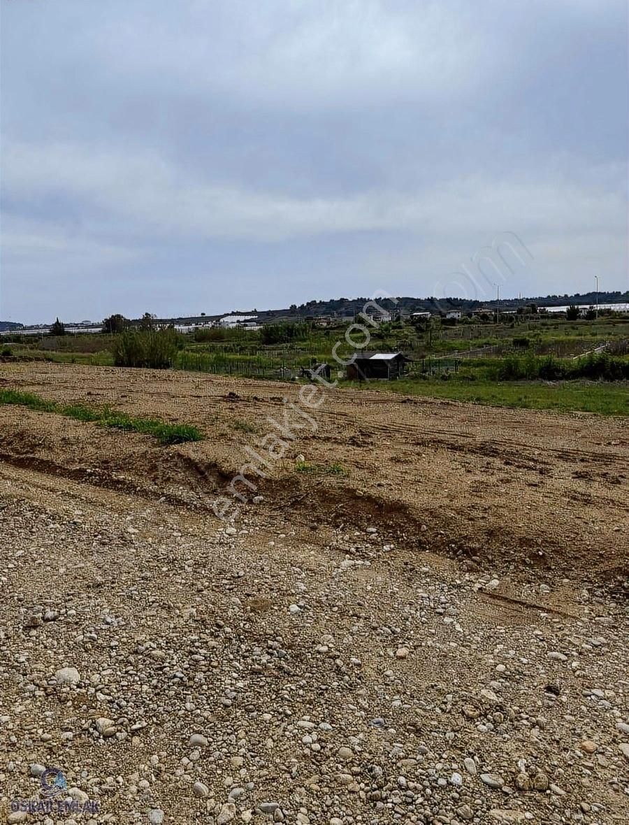 Evrensekide Satlık 700+m+ 20/60 Emsalli Arsa