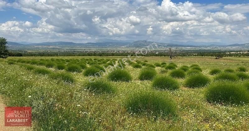 Isparta Keçiborlu Denir Göl Manzaralı Yatırımlık Tarla