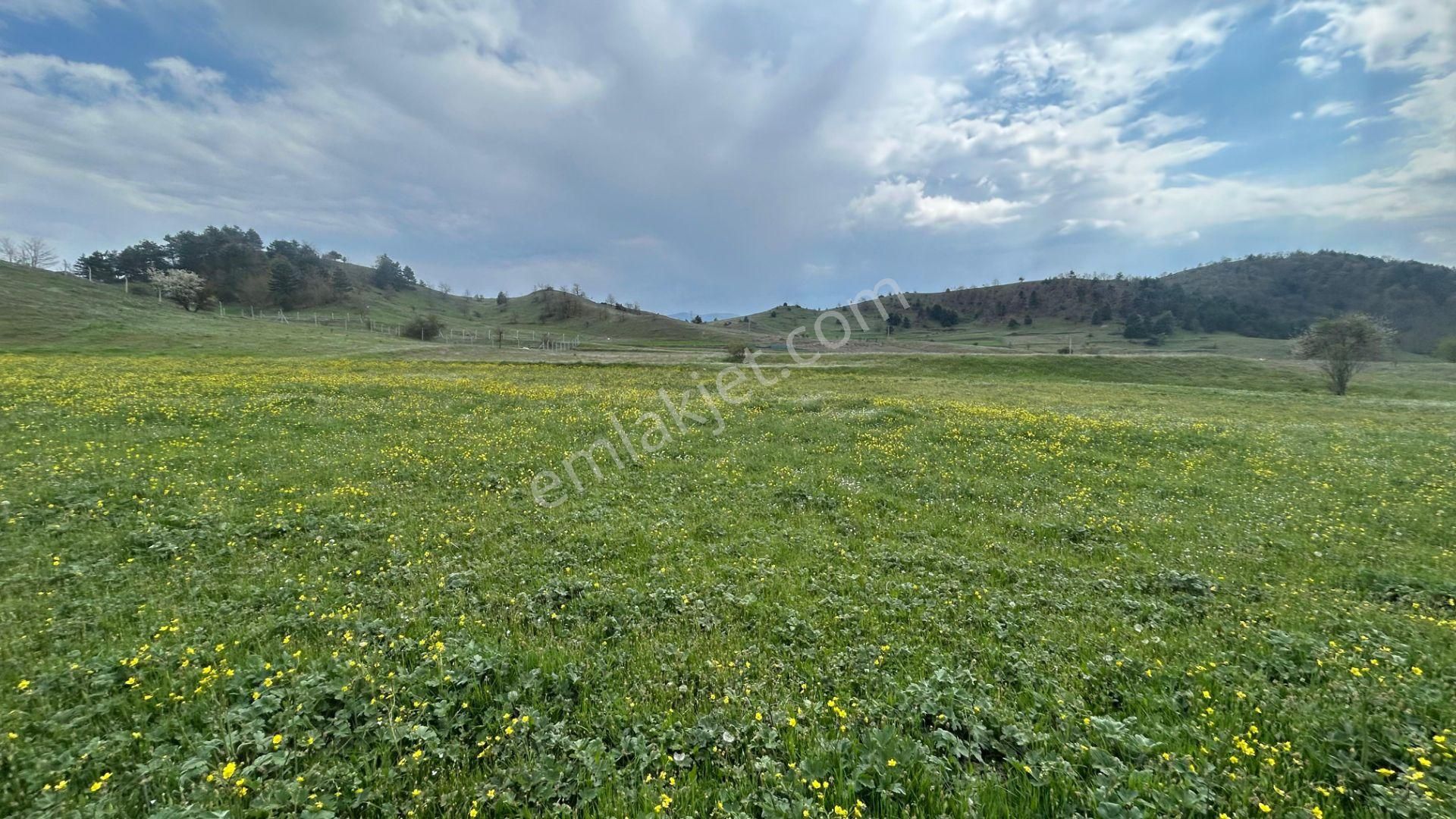 642 M2 Hobi Bahçesine Uygun Dümdüz Yatırımlık Tarla